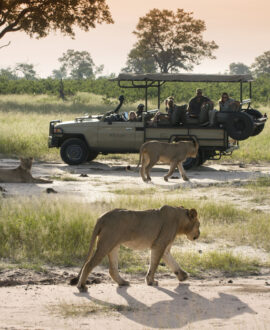 Hwange National Park